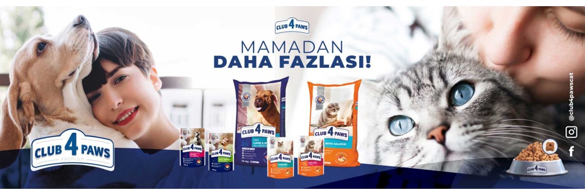 Club 4 Paws