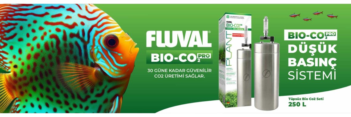Fluval