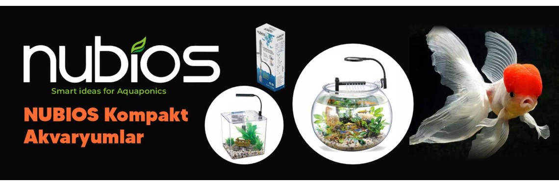 Nubios
